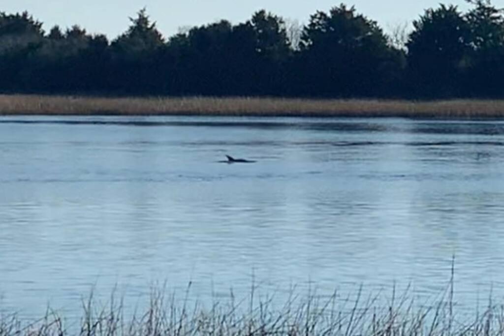 Dolphin Cove - Whole Waterfront House With Dock Villa Ocean Isle Beach Exteriör bild